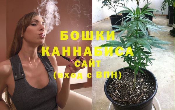 дурь Белокуриха