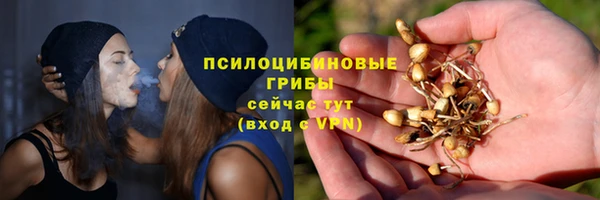 дурь Белокуриха