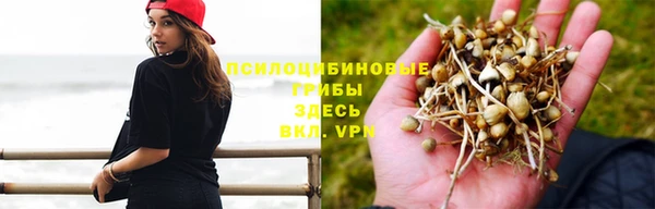 прущая мука Беломорск