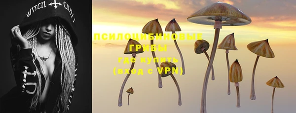 прущая мука Беломорск