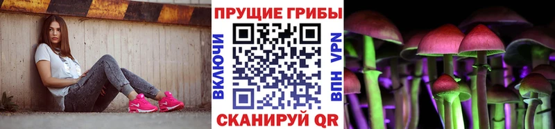 Псилоцибиновые грибы мицелий  Славгород 